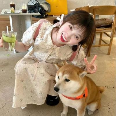 悬疑探案